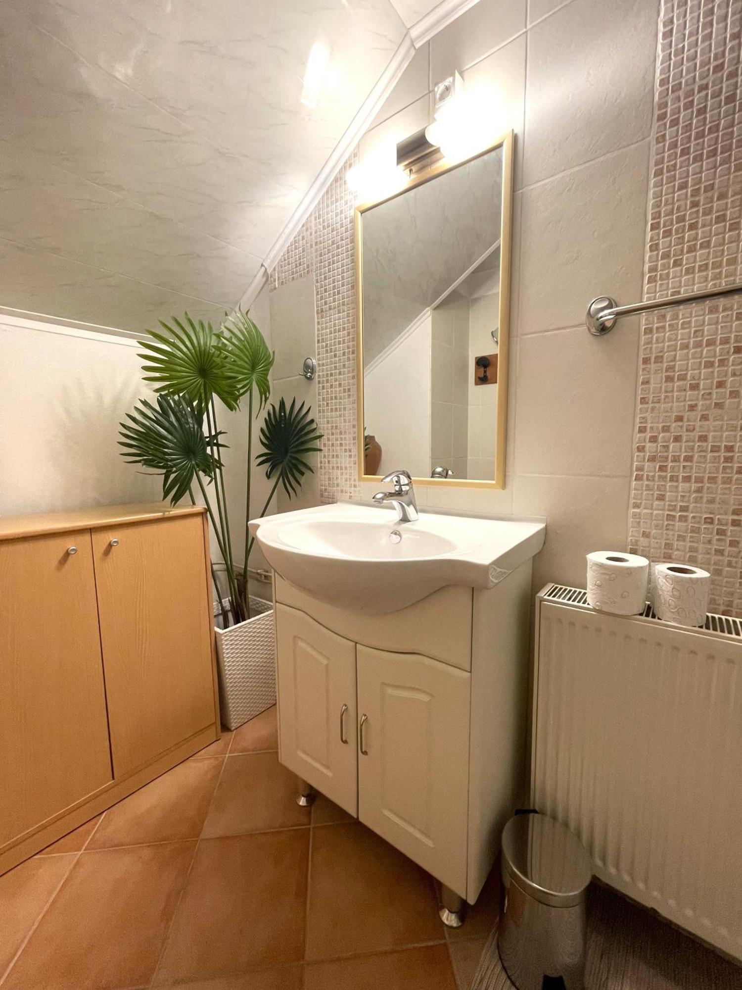 Apartma Savan 톨민 외부 사진